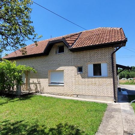 Apartman Progresso Valjevo Eksteriør billede